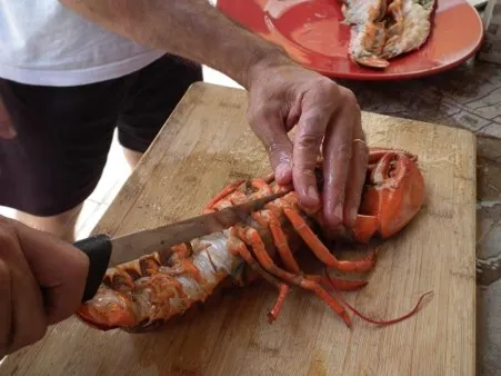 8.- Découpe des homards 8.- Découpe des homards