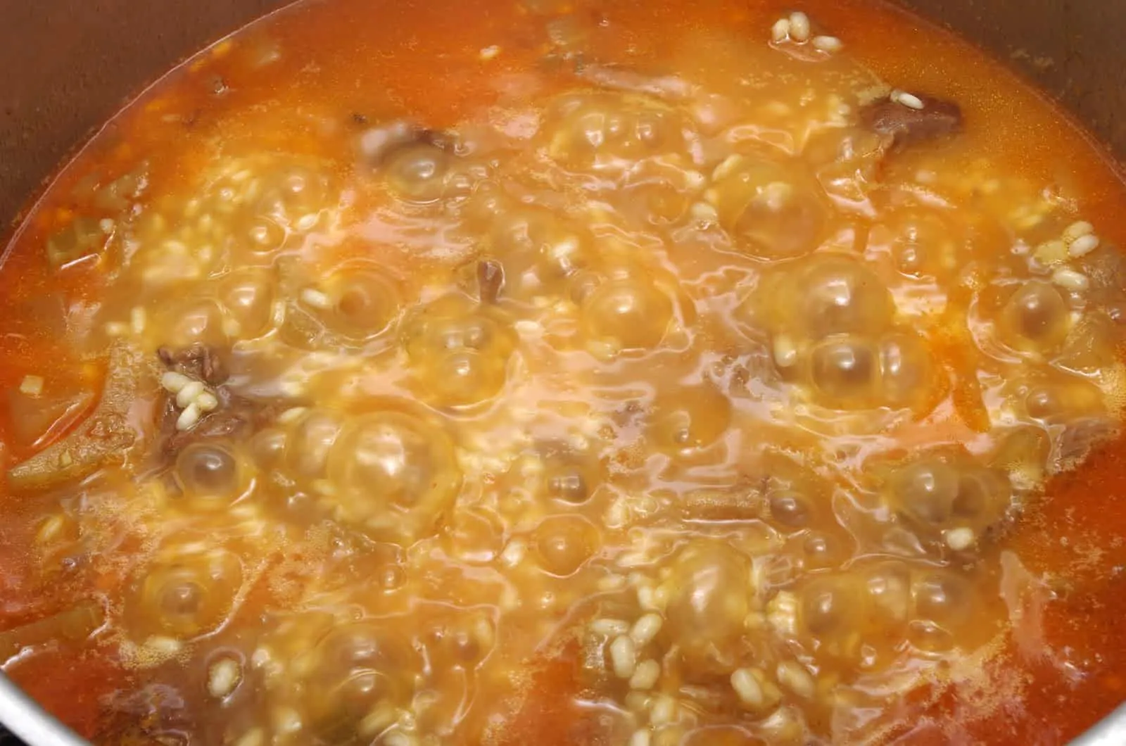 8.- Ajoutez le bouillon et commencez à faire bouillir