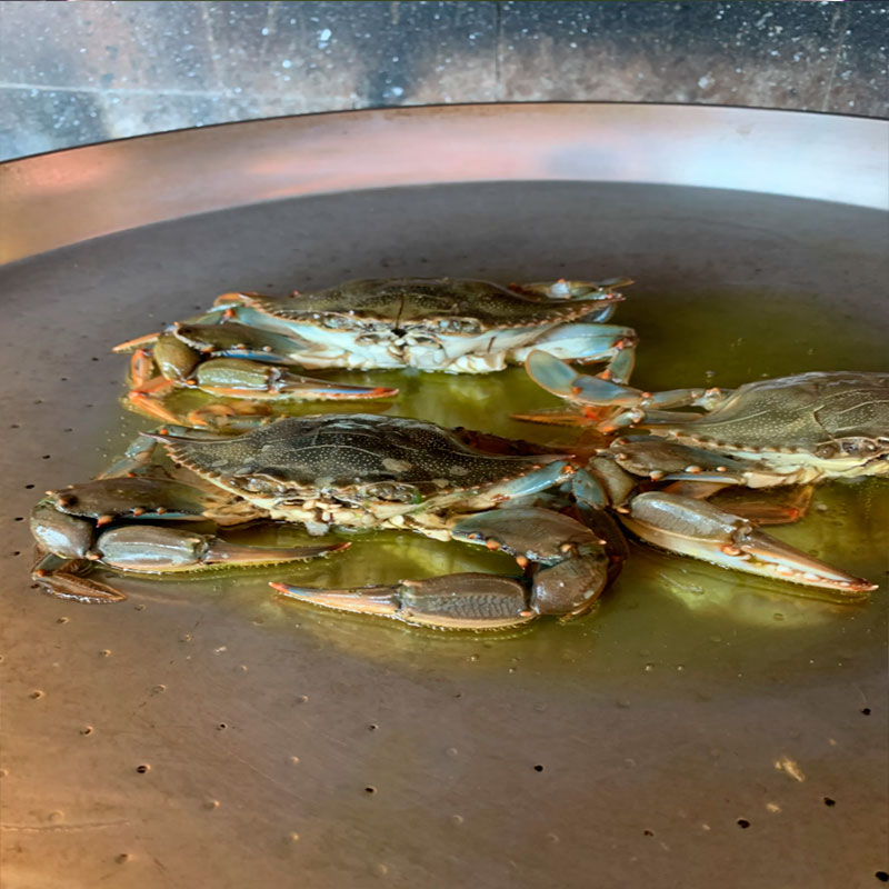 1.- Nous faisons frire les crabes