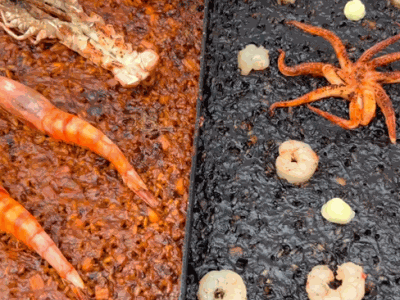 12.- Prêt à manger