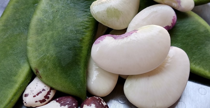 Comment préparer des haricots beurre valenciens pour la paella