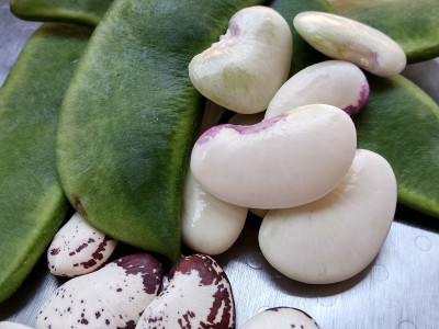 Comment préparer des haricots beurre valenciens pour la paella