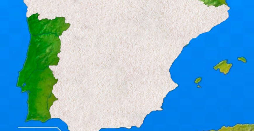 Route du riz et de la paella : saveurs d'Espagne, plat par plat
