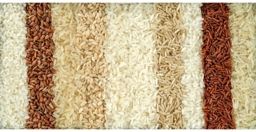 Meilleure variété et marque de riz pour la paella