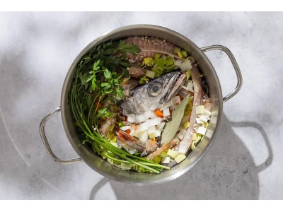 Quels sont les meilleurs poissons pour les bandes dessinées ?